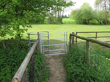 WT193 Barbed Wire After